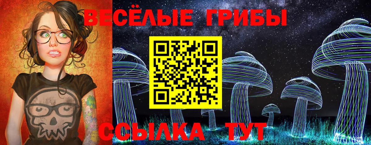 Псилоцибиновые грибы Psilocybe Лиски